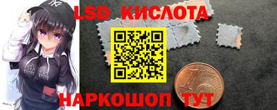 крисы Кандалакша