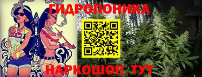наркотики Канаш