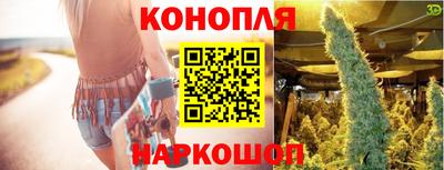 крисы Кандалакша