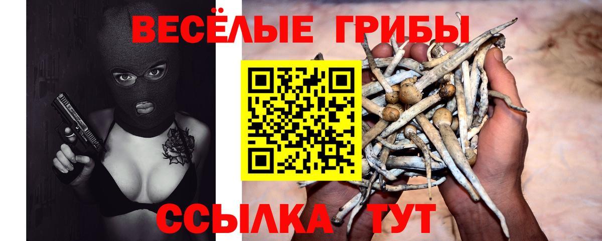 Галлюциногенные грибы Cubensis  Вход с VPN  Ейск 